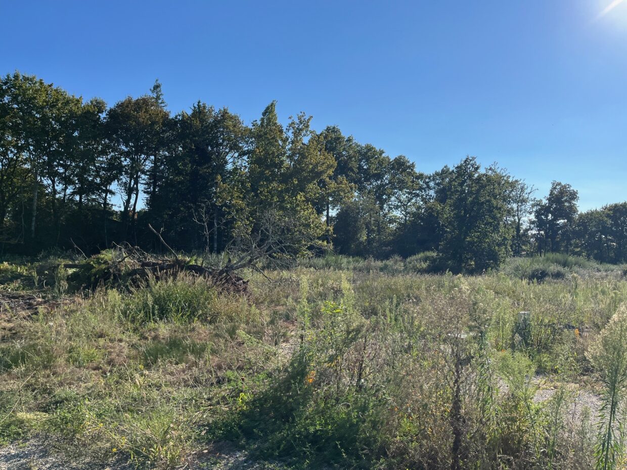 Terrain constructible Saint-aubin-de-médoc  (Gironde 33)