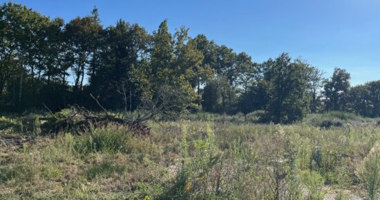 Terrain constructible Saint-aubin-de-médoc  (Gironde 33)