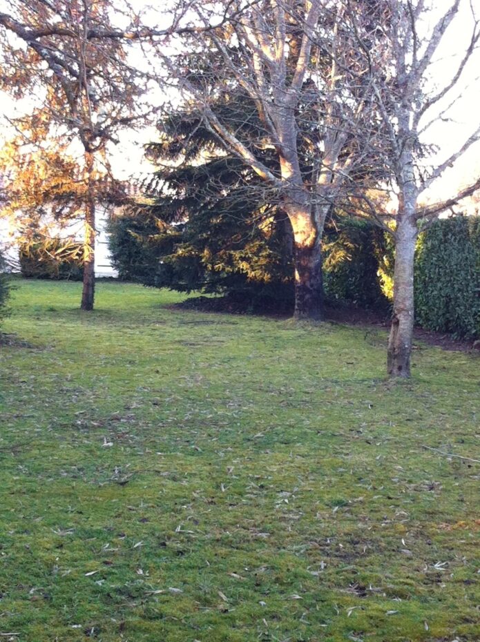 Maison avec terrain Cestas  (Gironde 33)