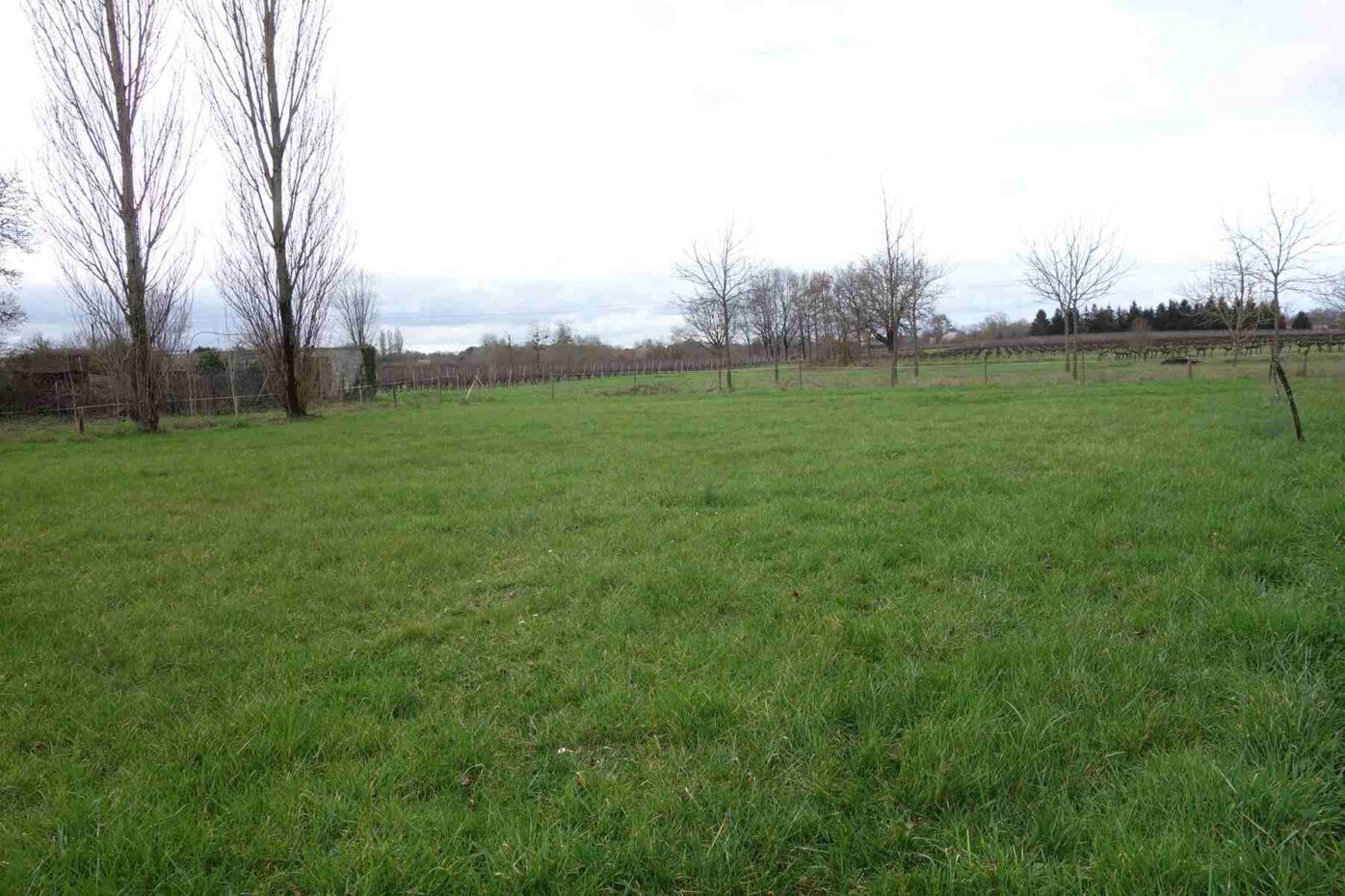 Terrain constructible Campugnan  (Gironde 33)