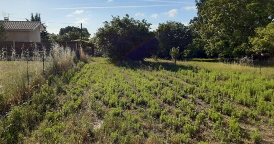 Terrain constructible Bassens  (Gironde 33)