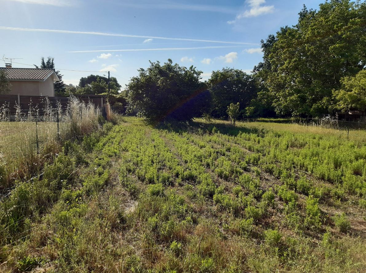 Terrain constructible Bassens  (Gironde 33)