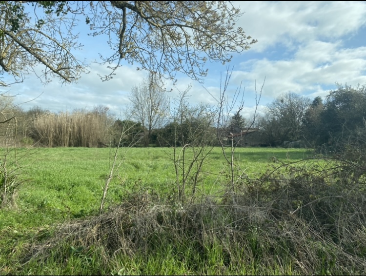 Terrain constructible Campugnan  (Gironde 33)