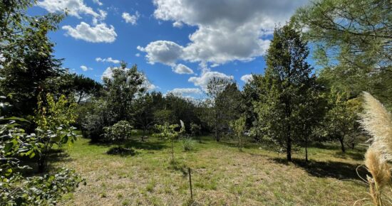 Terrain constructible Layrac  (Lot et Garonne 47)