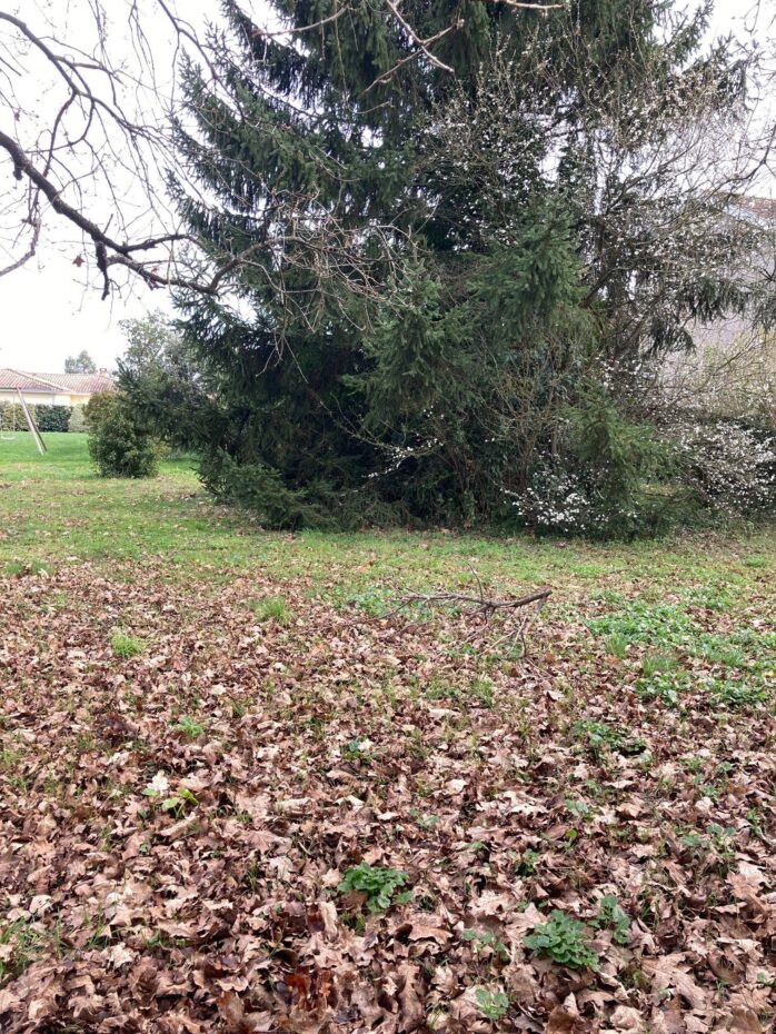 Terrain constructible La roche-chalais  (Dordogne 24)