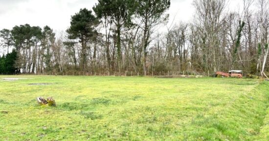 Terrain constructible Bordeaux caudéran  (Gironde 33)