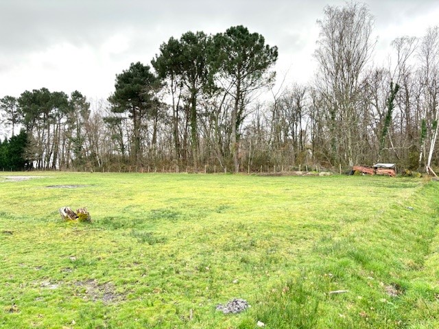 Terrain constructible Bordeaux caudéran  (Gironde 33)