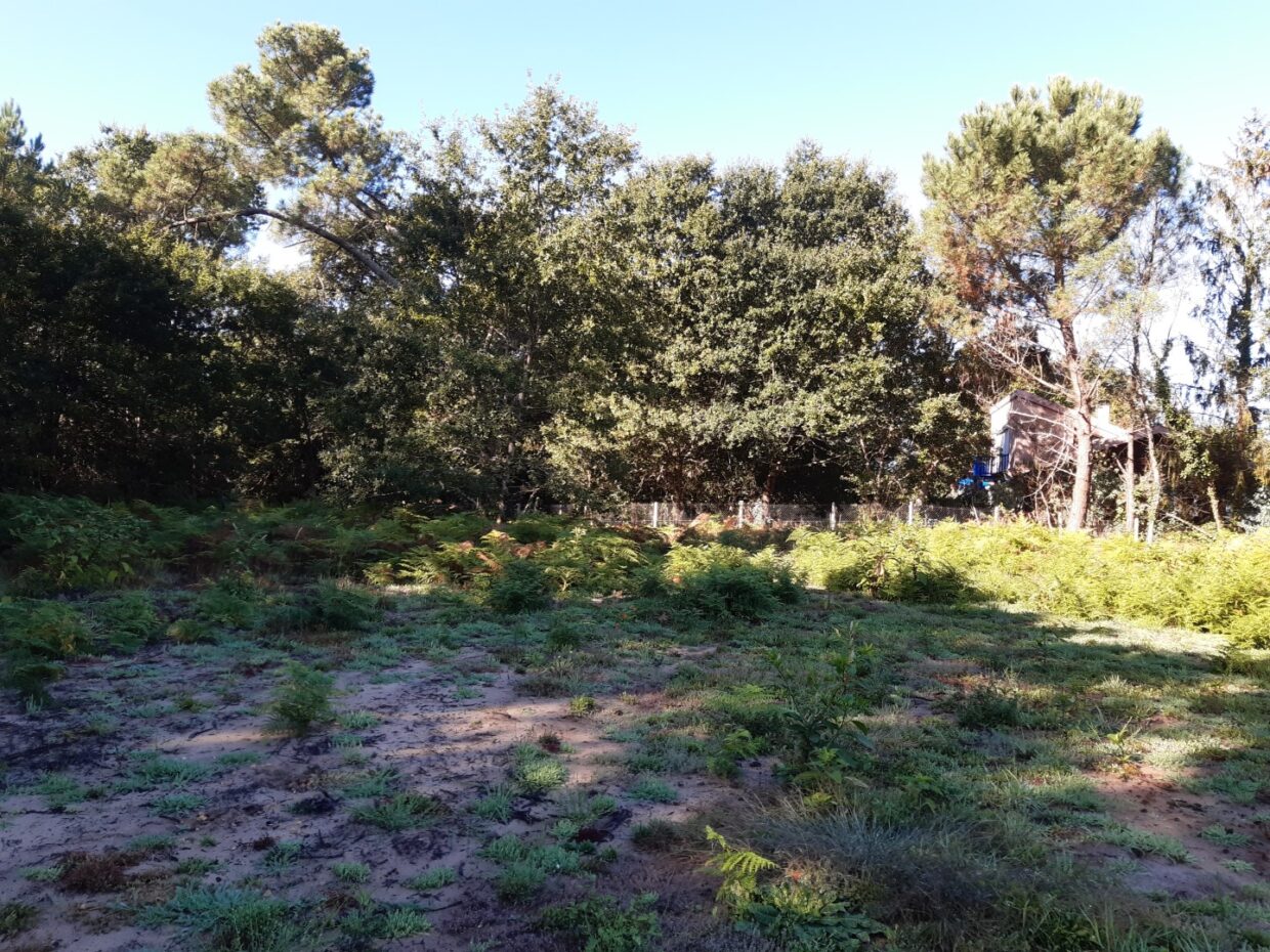 Terrain constructible Mimizan  (Landes 40)