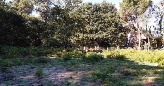 Terrain constructible Mimizan  (Landes 40)