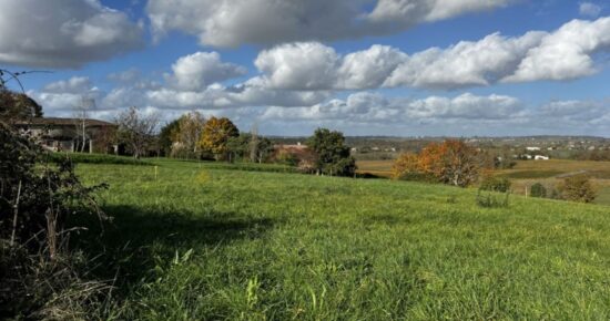 Terrain constructible Saint-andré-du-bois  (Gironde 33)