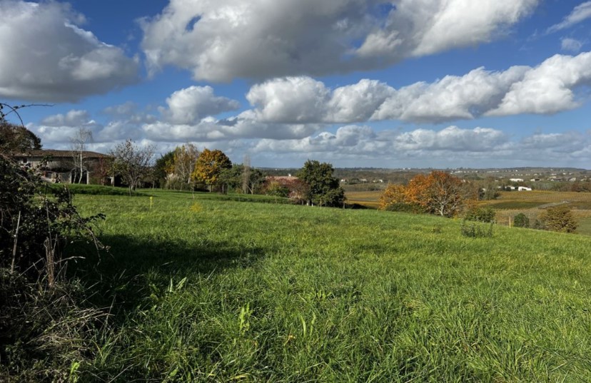 Terrain constructible Saint-andré-du-bois  (Gironde 33)