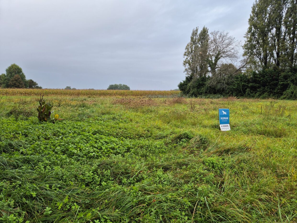 Terrain constructible Clermont  (Landes 40)