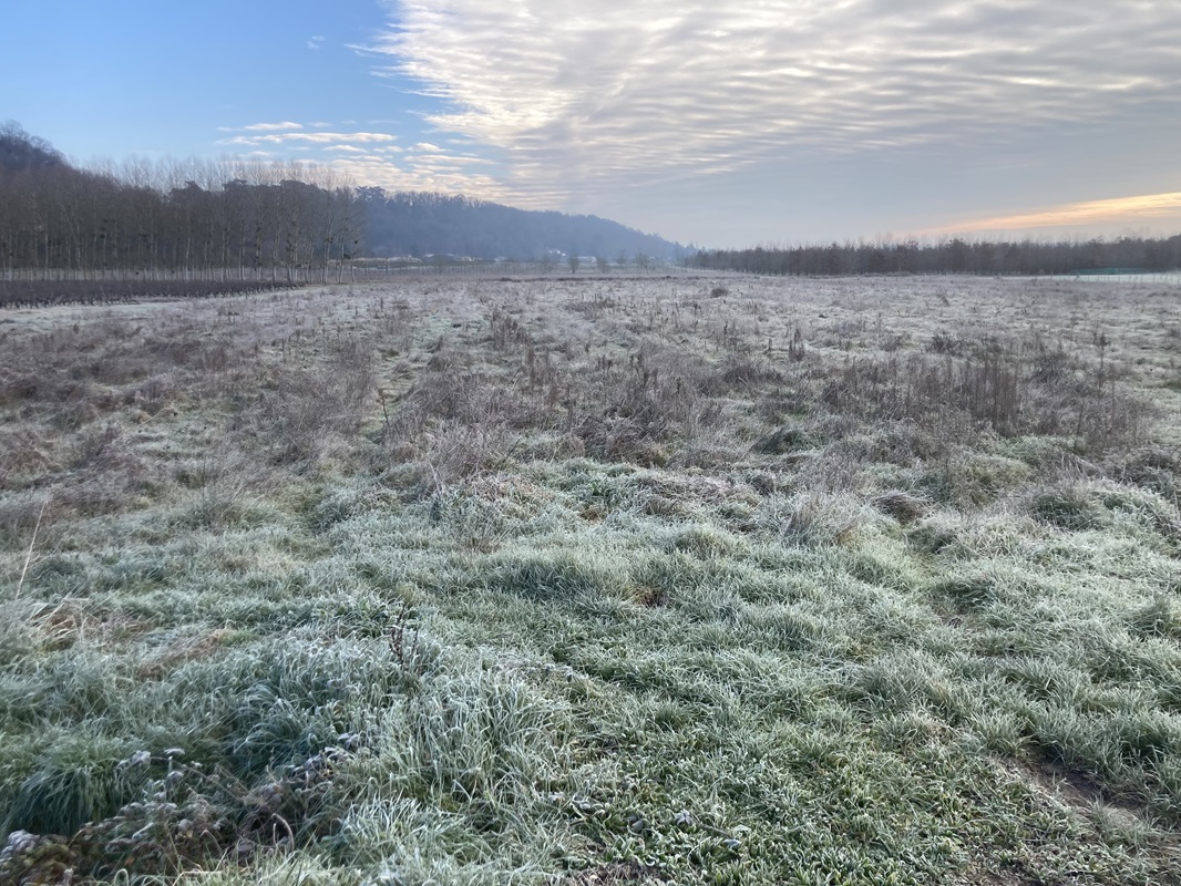 Terrain constructible Saint-antoine-de-breuilh  (Dordogne 24)