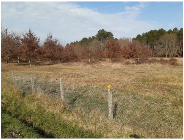 Terrain constructible Aureilhan  (Landes 40)