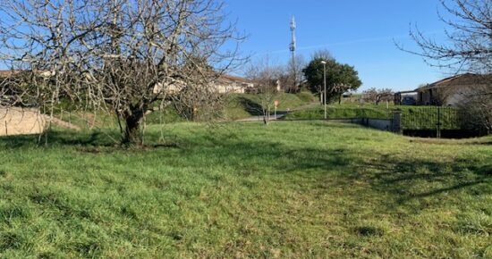 Terrain constructible Pellegrue  (Gironde 33)