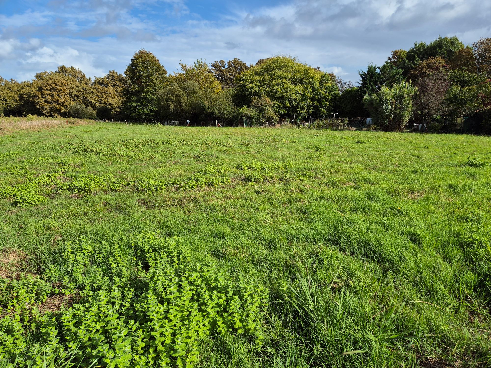 Terrain constructible Saint-sever  (Landes 40)