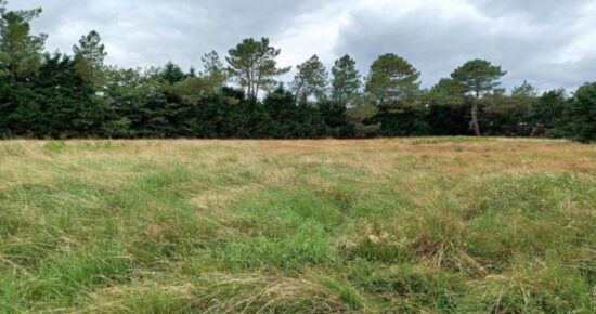 Terrain constructible La lande-de-fronsac  (Gironde 33)