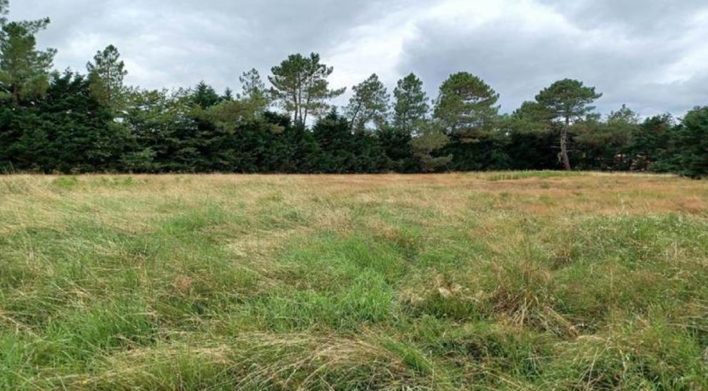 Terrain constructible La lande-de-fronsac  (Gironde 33)