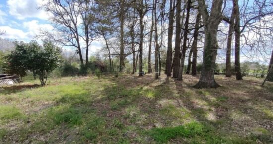 Terrain constructible Budos  (Gironde 33)