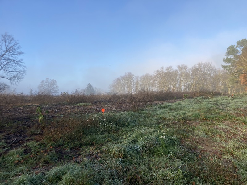 Terrain constructible Saint-martin-du-bois  (Gironde 33)