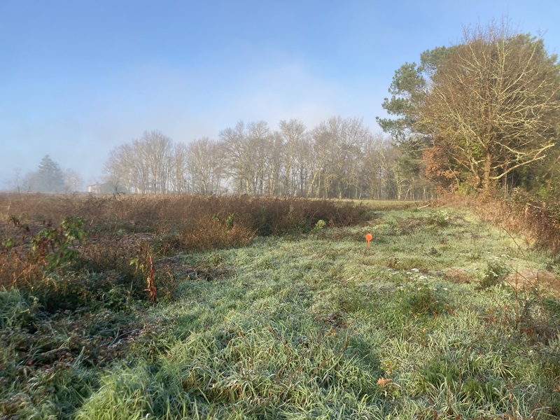 Terrain constructible Saint-martin-du-bois  (Gironde 33)