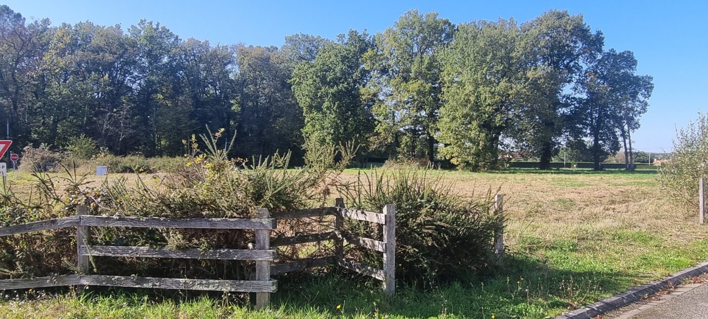 Terrain constructible Ribérac  (Dordogne 24)