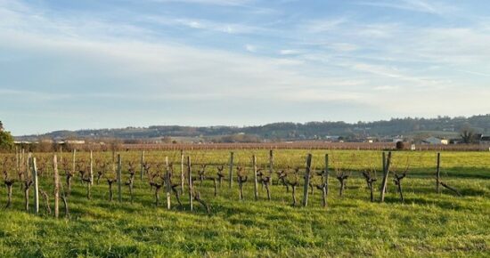 Terrain constructible Saint-laurent-des-vignes  (Dordogne 24)