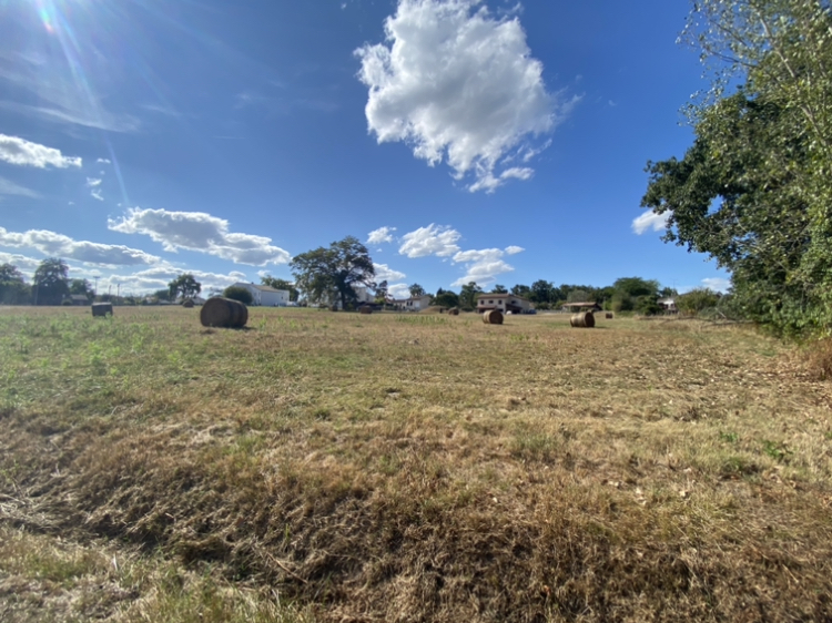 Terrain constructible Bussac-forêt  (Charente-Maritime 17)