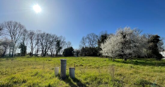 Terrain constructible Prignac-et-marcamps  (Gironde 33)